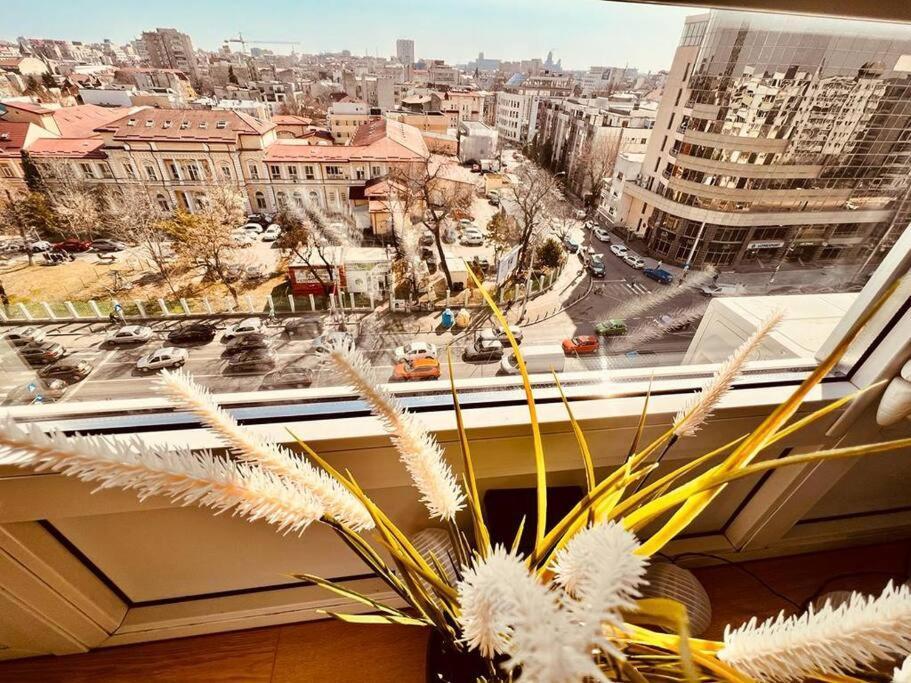 City View Studio In The Heart Of Bucharest Apartment Exterior photo